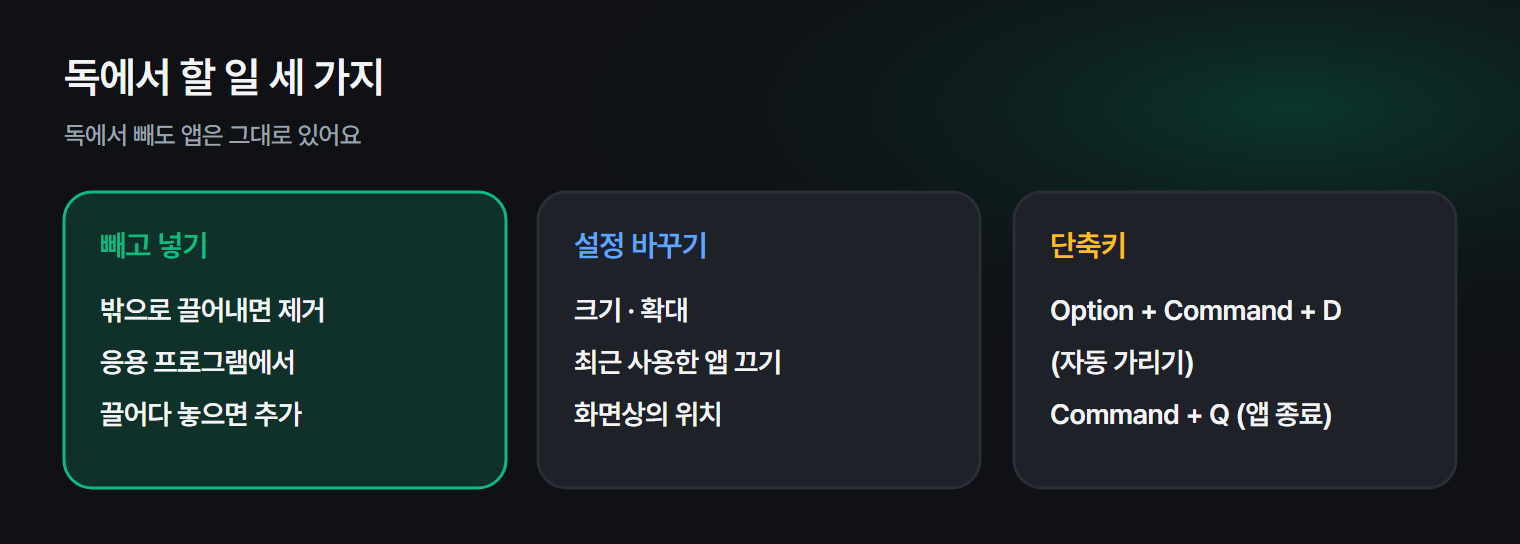 맥 독에서 넣고 뺄 것, 설정에서 바꿀 것, 자주 쓰는 단축키