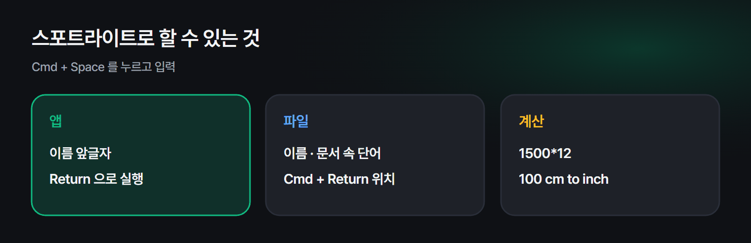스포트라이트로 할 수 있는 것들